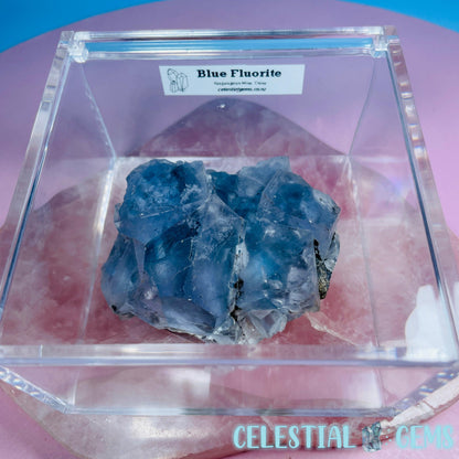 RARE Yaogangxian Blue Fluorite Medium Cluster Specimen