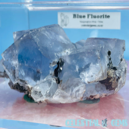 RARE Yaogangxian Blue Fluorite Medium Cluster Specimen