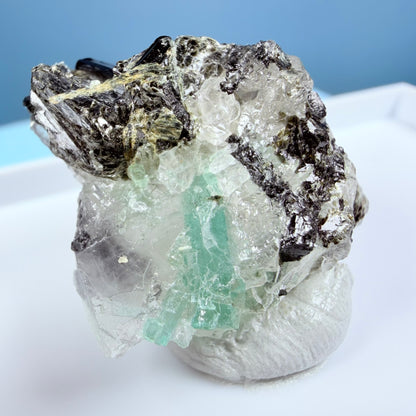 Rare Emerald in Quartz with Tourmaline Crystal Specimen in Box, Zambia