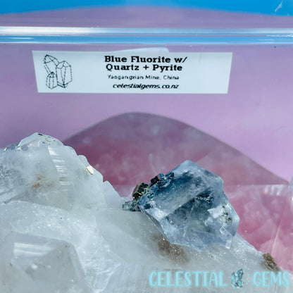 RARE Yaogangxian Blue Fluorite, Pyrite + Quartz Medium Cluster Specimen