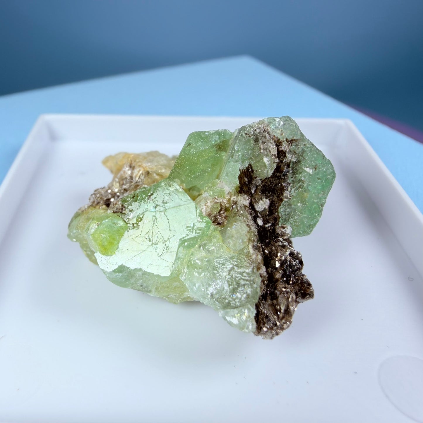 Rare Emerald, Quartz + Tourmaline Crystal Specimen in Box, Zambia