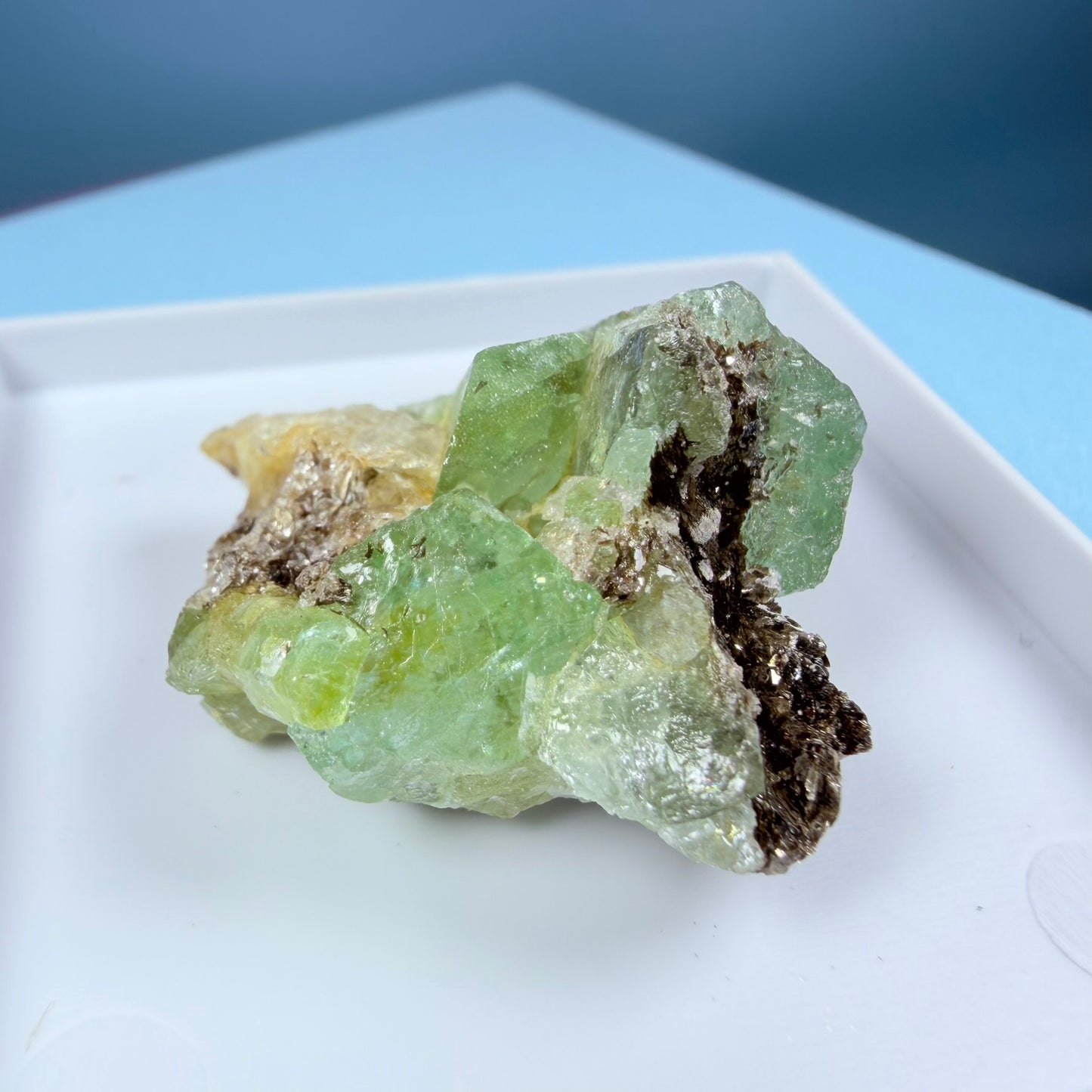 Rare Emerald, Quartz + Tourmaline Crystal Specimen in Box, Zambia