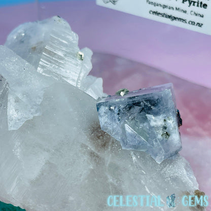 RARE Yaogangxian Blue Fluorite, Pyrite + Quartz Medium Cluster Specimen