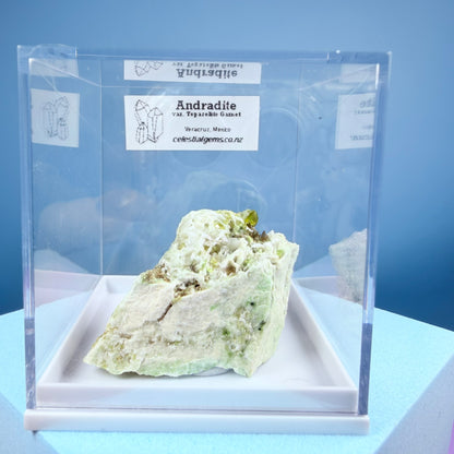 Topazolite (Andradite Garnet) Specimen in Box