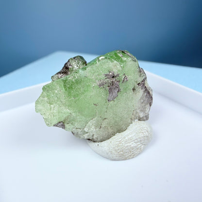 High Grade Tsavorite Garnet on Graphite Specimen in Box