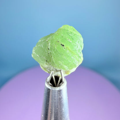 Tsavorite Garnet Crystal Specimen in Pottle