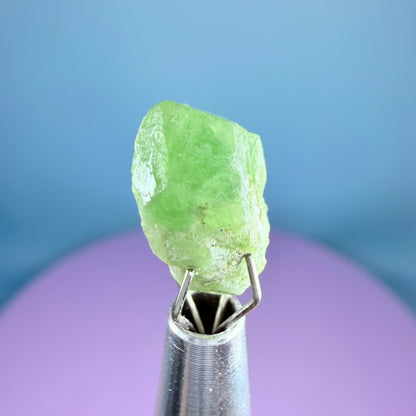 Tsavorite Garnet Crystal Specimen in Pottle