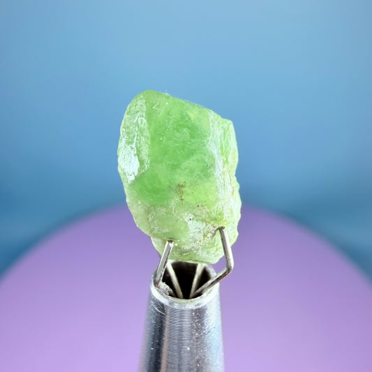 Tsavorite Garnet Crystal Specimen in Pottle