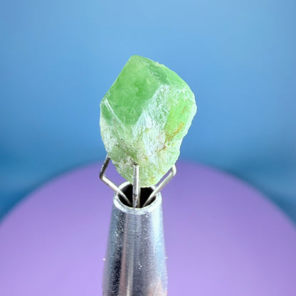 Tsavorite Garnet Crystal Specimen in Pottle