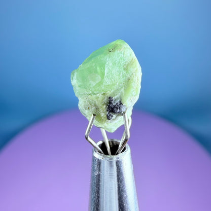 Tsavorite Garnet Crystal Specimen in Pottle
