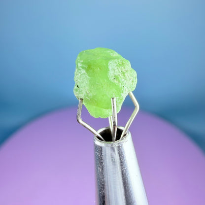 Tsavorite Garnet Crystal Specimen in Pottle