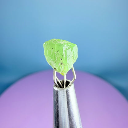 Tsavorite Garnet Crystal Specimen in Pottle