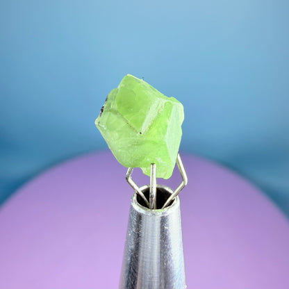 Tsavorite Garnet Crystal Specimen in Pottle