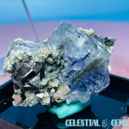 RARE Yaogangxian Colour-Zoned Fluorite with Pyrite, Mica, Quartz + Chlorite Small Cluster Specimen