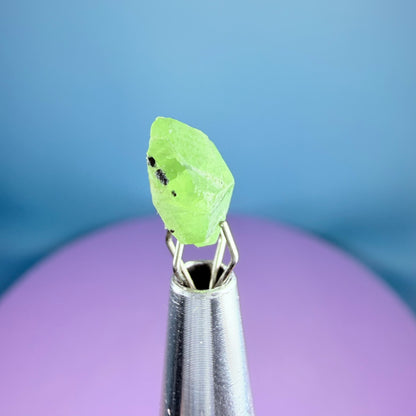Tsavorite Garnet Crystal Specimen in Pottle