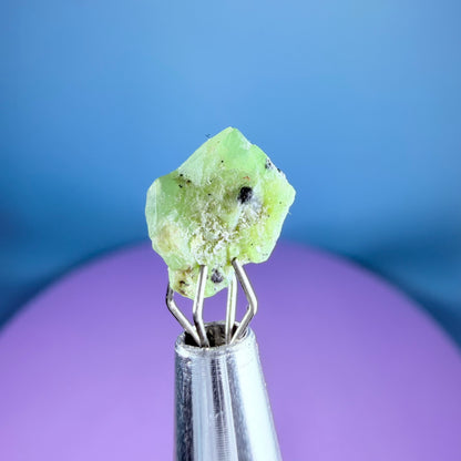 Tsavorite Garnet Crystal Specimen in Pottle