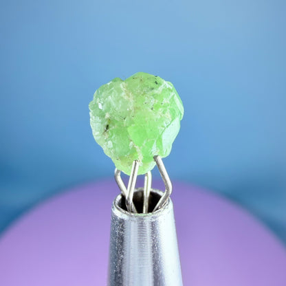 Tsavorite Garnet Crystal Specimen in Pottle