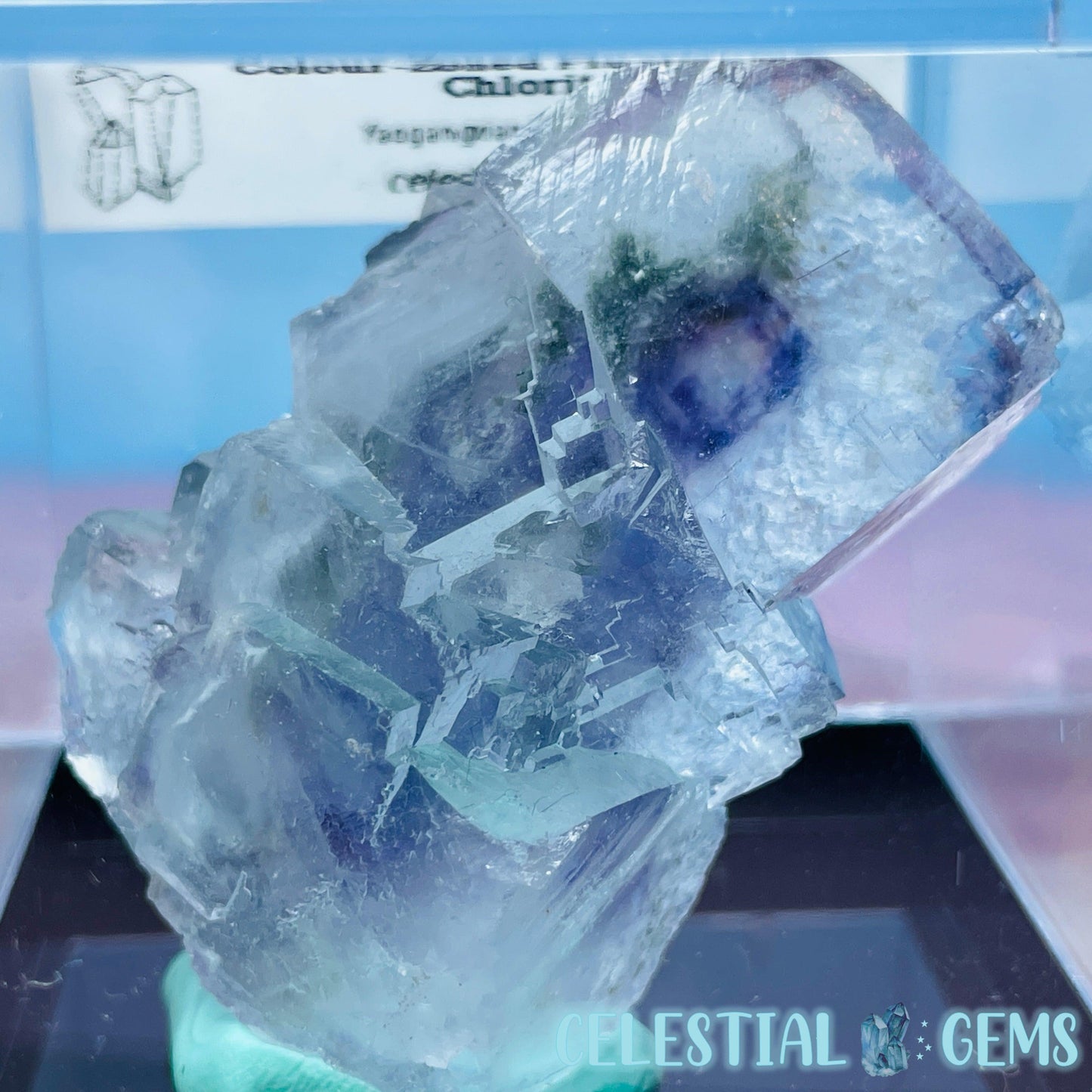 RARE Yaogangxian Colour-Zoned Fluorite with Chlorite Small Cluster Specimen