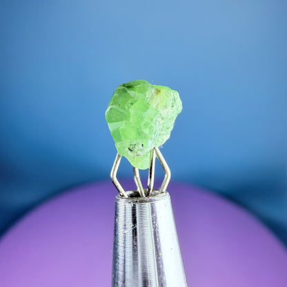 Tsavorite Garnet Crystal Specimen in Pottle