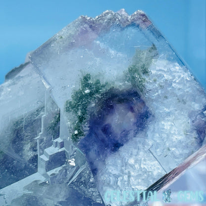 RARE Yaogangxian Colour-Zoned Fluorite with Chlorite Small Cluster Specimen