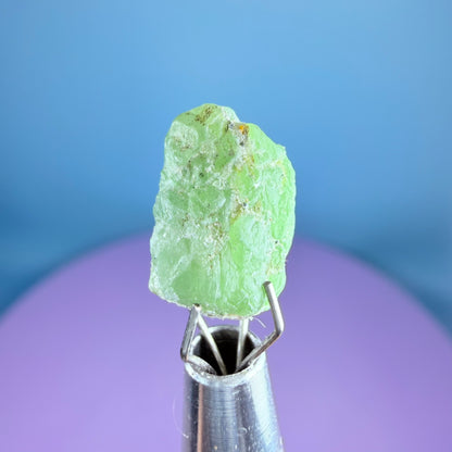 Tsavorite Garnet Crystal Specimen in Pottle