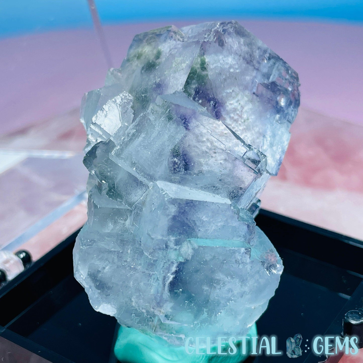 RARE Yaogangxian Colour-Zoned Fluorite with Chlorite Small Cluster Specimen