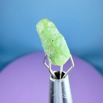 Tsavorite Garnet Crystal Specimen in Pottle