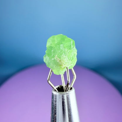 Tsavorite Garnet Crystal Specimen in Pottle