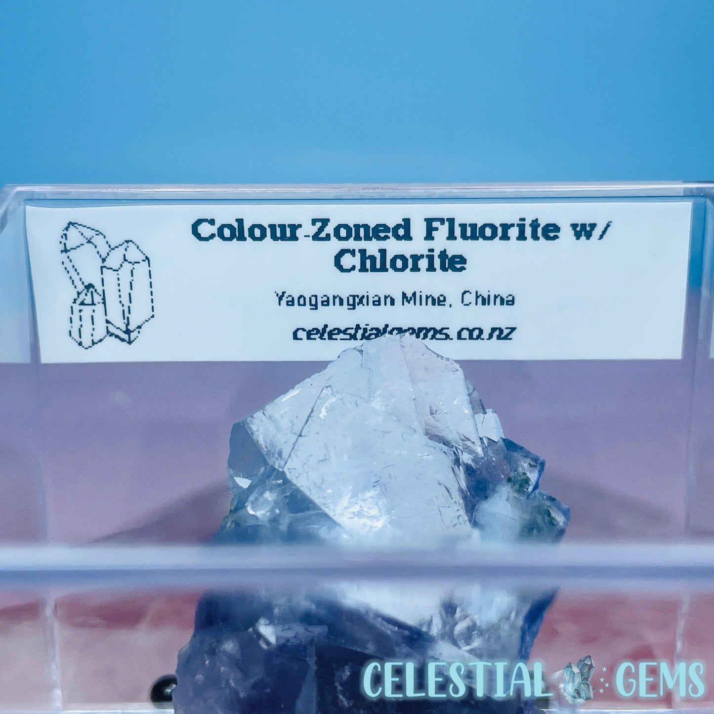 RARE Yaogangxian Colour-Zoned Fluorite with Chlorite Small Cluster Specimen