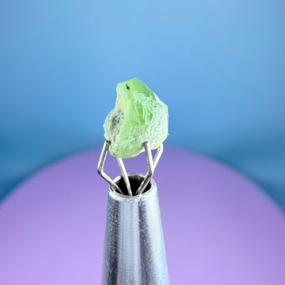 Tsavorite Garnet Crystal Specimen in Pottle