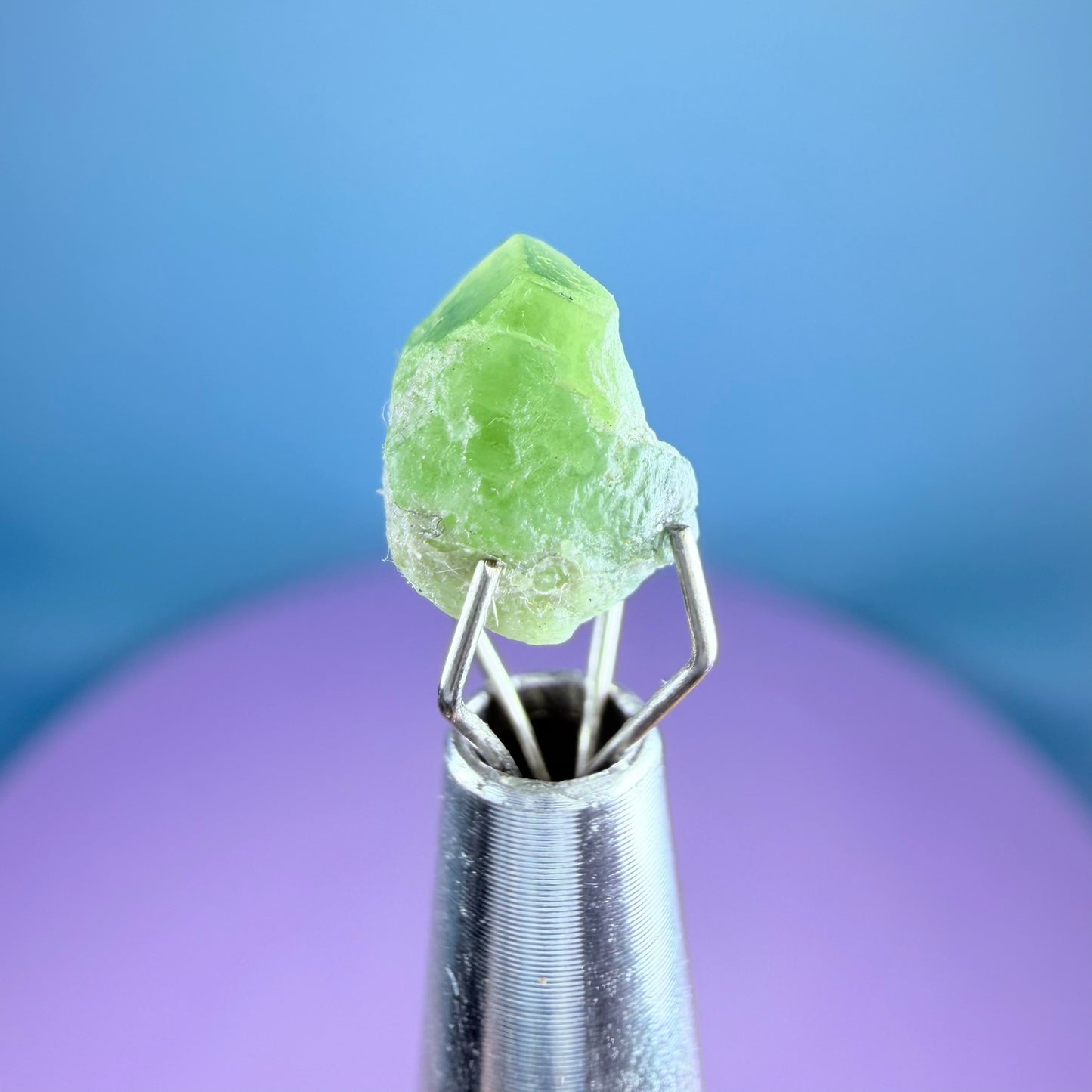 Tsavorite Garnet Crystal Specimen in Pottle