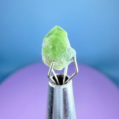 Tsavorite Garnet Crystal Specimen in Pottle