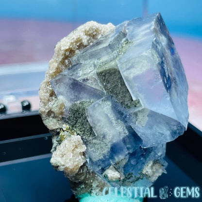 RARE Yaogangxian Colour-Zoned Fluorite with Mica, Chalcopyrite + Chlorite Small Cluster Specimen