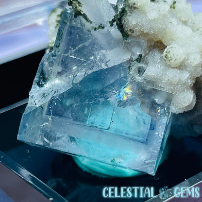 RARE Yaogangxian Colour-Zoned Fluorite, Chlorite + Quartz Mini Cluster Specimen