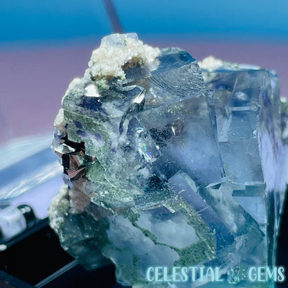 RARE Yaogangxian Colour-Zoned Fluorite, Mica, Chalcopyrite + Chlorite Mini Cluster Specimen