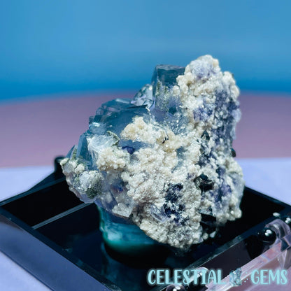 RARE Yaogangxian Colour-Zoned Fluorite, Mica, Chalcopyrite + Chlorite Mini Cluster Specimen