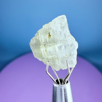 Grey Zoisite Crystal Specimen in Pottle