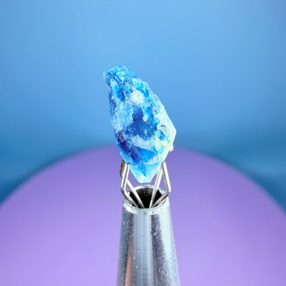 Rare Euclase Crystal Specimen in Pottle