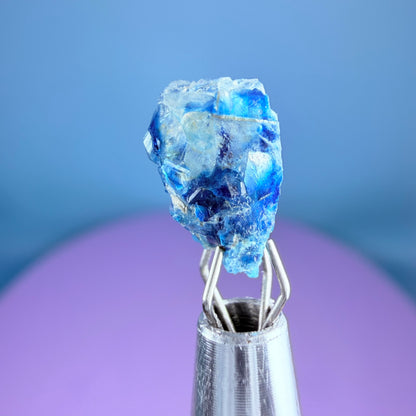 Rare Euclase Crystal Specimen in Pottle
