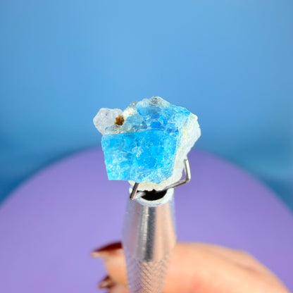 Rare Euclase Crystal Specimen in Pottle