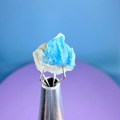 Rare Euclase Crystal Specimen in Pottle