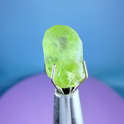Peridot Crystal Specimen in Pottle