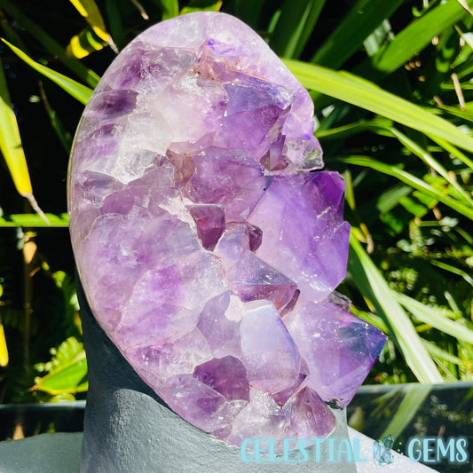 Amethyst Large Polished Standing Cluster with Concrete Base