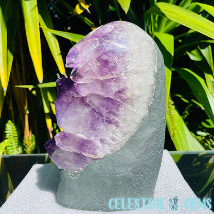 Amethyst Large Polished Standing Cluster with Concrete Base