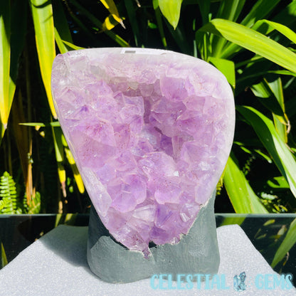 Amethyst Large Polished Standing Cluster with Concrete Base
