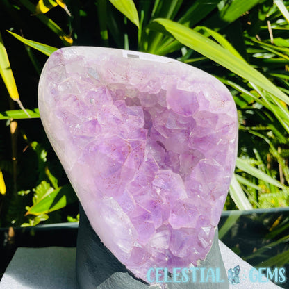 Amethyst Large Polished Standing Cluster with Concrete Base