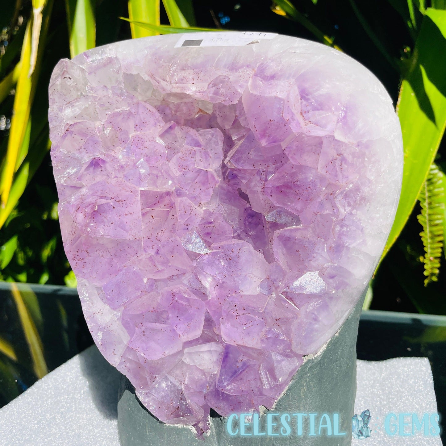 Amethyst Large Polished Standing Cluster with Concrete Base