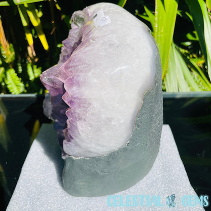 Amethyst Large Polished Standing Cluster with Concrete Base