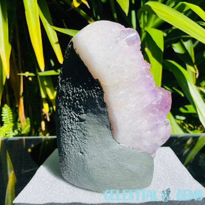 Amethyst Large Polished Standing Cluster with Concrete Base