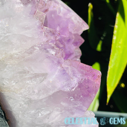 Amethyst Large Polished Standing Cluster with Concrete Base
